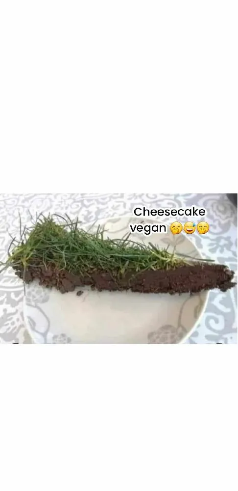Cheesecake vegan