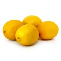 Citron jaune Primofiori Bio