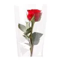 Fleurs Rose rouge emballée