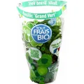 Plant de Basilic Bio frais 'Grand Vert'