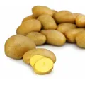 Pommes de terre Frites