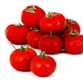 Tomates rondes PETIT PRIX