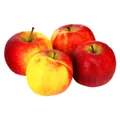 Pommes bicolores Bio