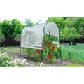 Serre de Jardin pour Plants de Tomates H200cm