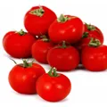 Tomates rondes  PETIT PRIX