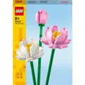 LEGO  Iconic Les Fleurs de Lotus 40647  LEGO