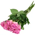 Roses rose 50 cm CARREFOUR