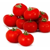 Tomates rondes bio  CARREFOUR BIO