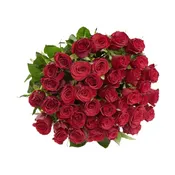 Roses rouge Diamand 50 cm