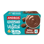 Dessert végétal chocolat au lait d'amande ANDROS