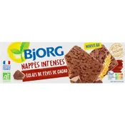 Biscuits nappé chocolat intense Bio BJORG
