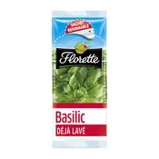 Basilic FLORETTE