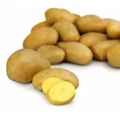Pommes de terre Frites