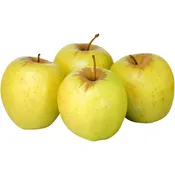 Pommes jaunes GoldRush en conversion Bio GOLDRUSH