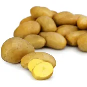 Pommes de terre de consommation CARREFOUR BIO