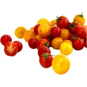 Tomates mélangées Bio GRAINES DE PAYSANS