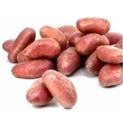Pommes de terre Vapeur Rouge agroécologie FILIERE QUALITE CARREFOUR