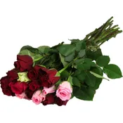 Bouquet roses ton froid CARREFOUR