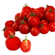 Tomates cerises allongées Sweetberry