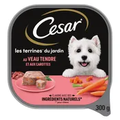 Pâtée pour chien veau carottes CESAR
