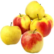 Pommes Elstar vrac Bio