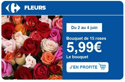 Bouquet de 15 roses : 5,99€ le bouquet