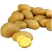 Pommes de terre Primeur de Noirmoutier agroécologie REFLETS DE FRANCE