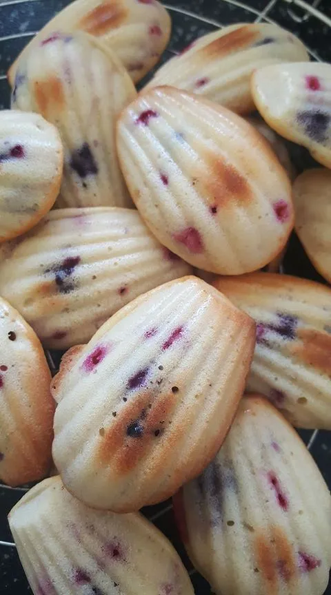 Madeleines aux fruits rouges