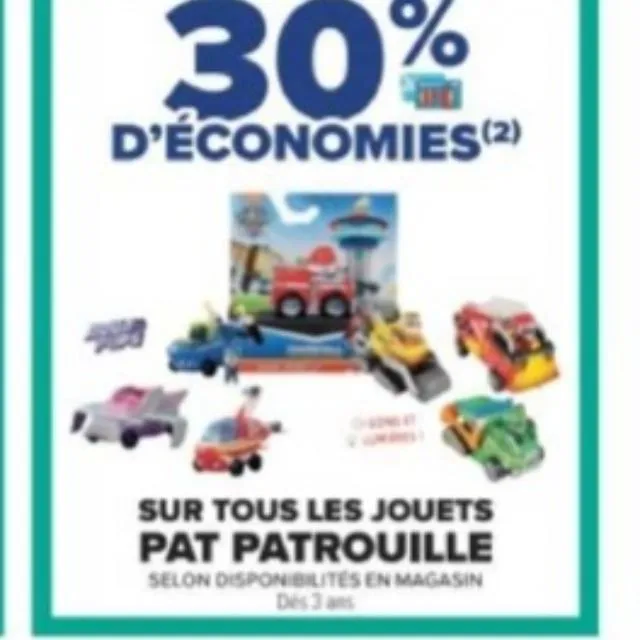 PAT PATROUILLE