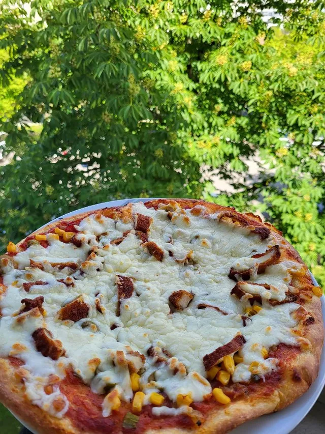 Pâte à Pizza Pizzeria Croustipate 🍕 - 4