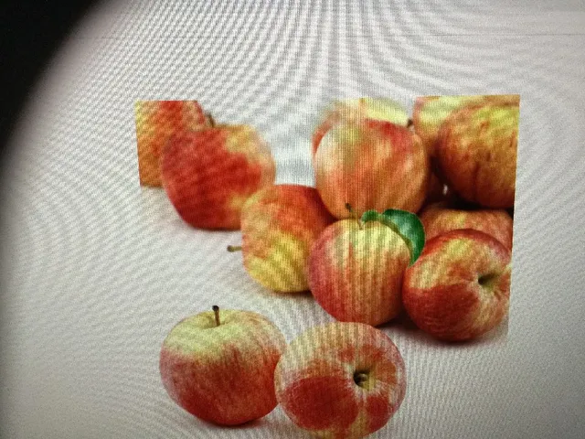 Pommes 🍎 Gala le sachet de 2 kg