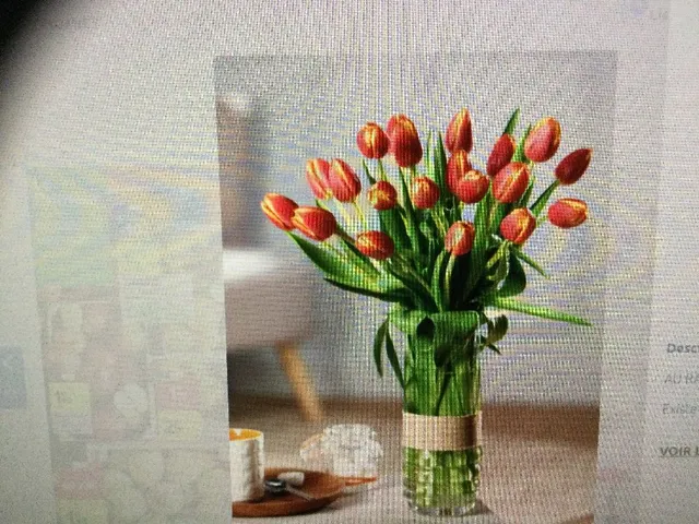 Bouquet de 20 tulipes 🌷 promo 5,99€