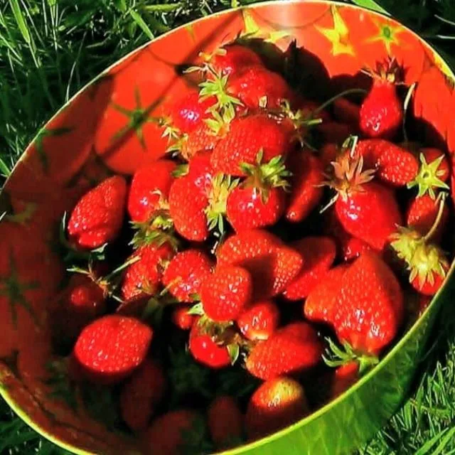 Anti gaspi à base de fraises.