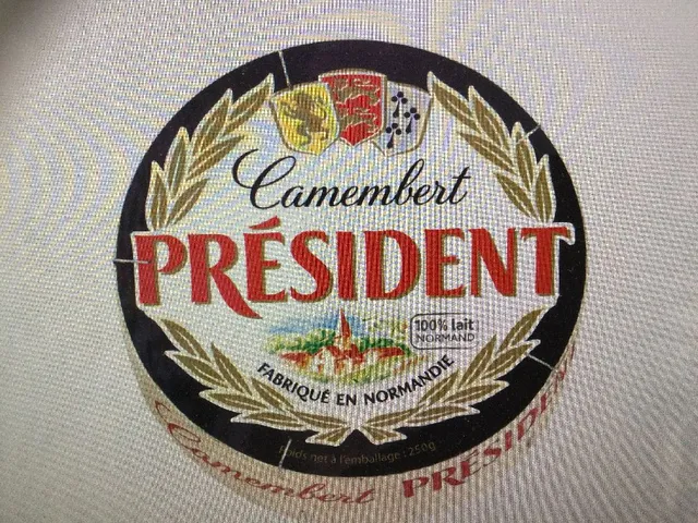 Camembert PRÉSIDENT en PROMOTION :