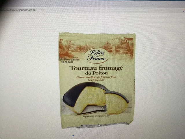 Gâteau tourteau fromage du Poitou REFLETS DE FRANCE