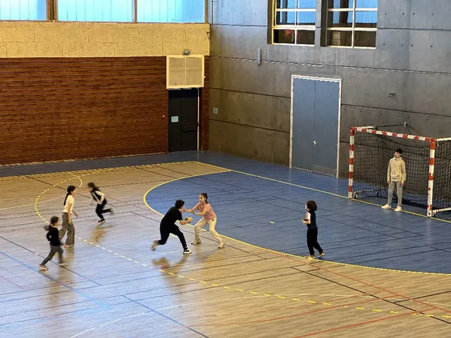 Handball lyonnais
