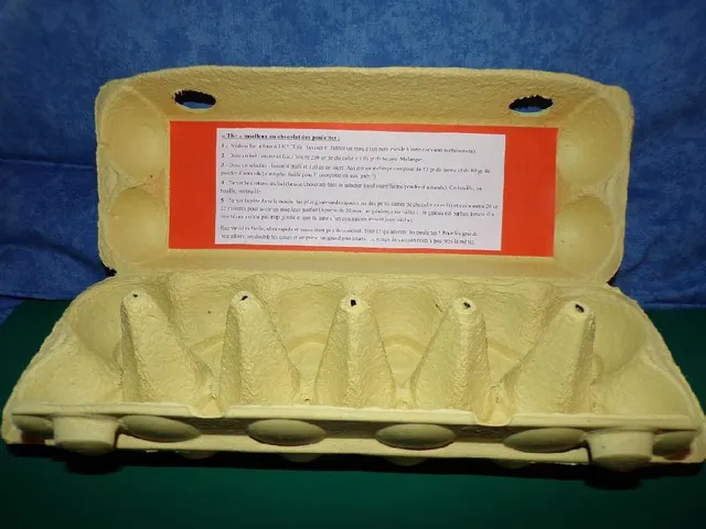 Boîtes à oeufs recyclées - 4