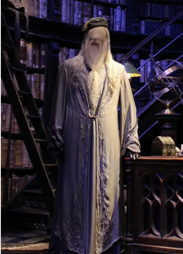 Costumes sorciers ou professeurs du film Harry Potter - 2