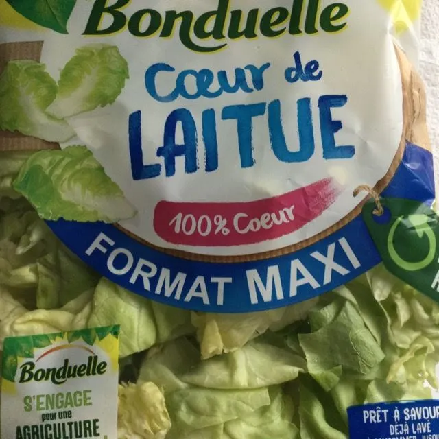 Salade cœur de laitue 🥬 BONDUELLE