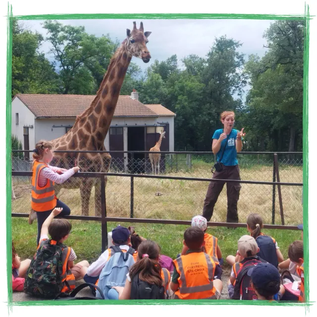 Le safari de Peaugres en Ardèche