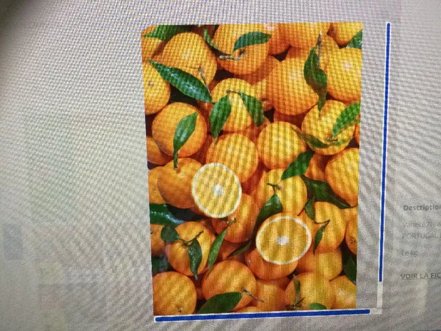 Oranges 🍊 feuille promo 1,89€ le kilo