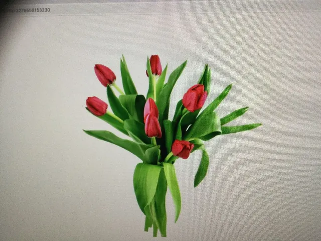 7 Fleurs Tulipes 💐 coloris assortis 3,99€  prenez-en 3= payez en 2