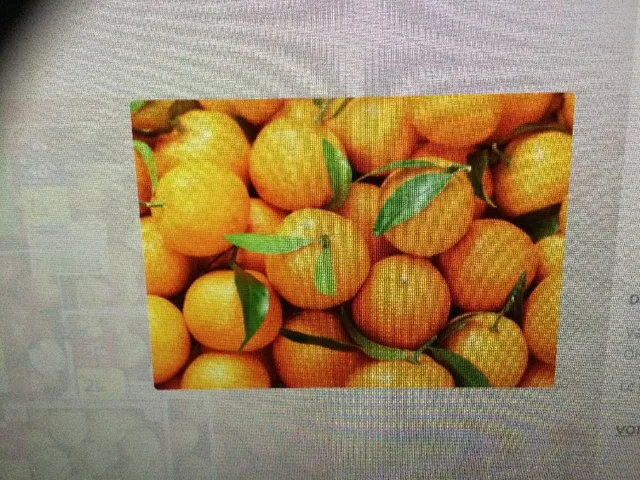 Mandarine 🍊 promo 2,49€ le kg