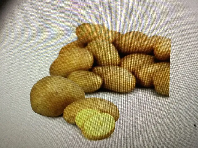 Pommes de terre de consommation blanches en promo à 2,95€ les 5 kg