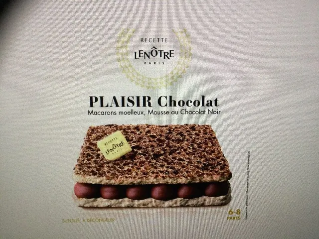 Dessert glacé Plaisir au chocolat LE NOTRE promo 30% soit 5,95€