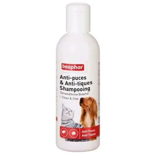 Shampoing chat chien insecticide
