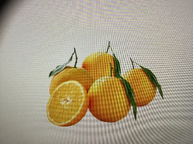 Oranges à feuilles vrac en promo À saisir 1,99€ le kilo