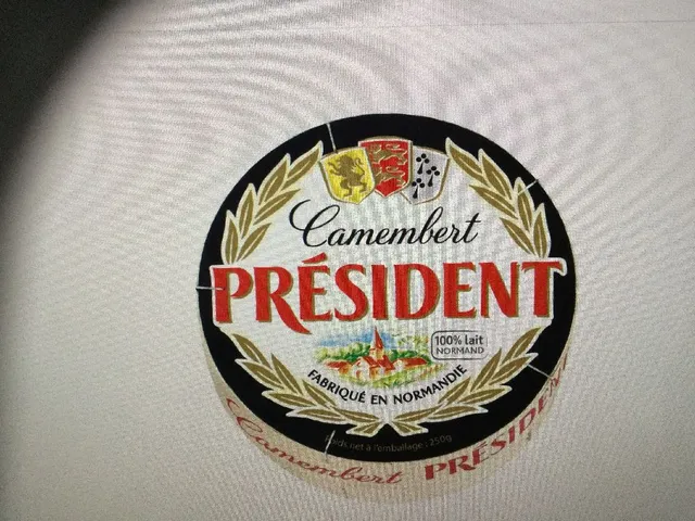Camembert Président 250 g PROMO