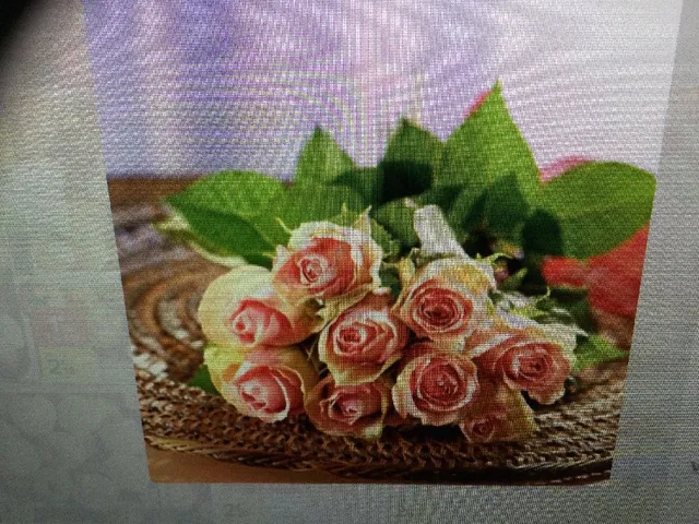 Bouquet de 9 roses 1,99€