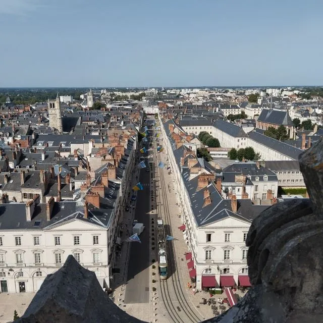 Orléans vu du haut de la cathédrale